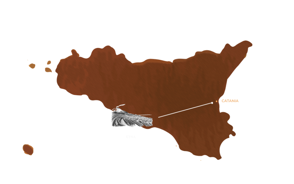 Sicilia